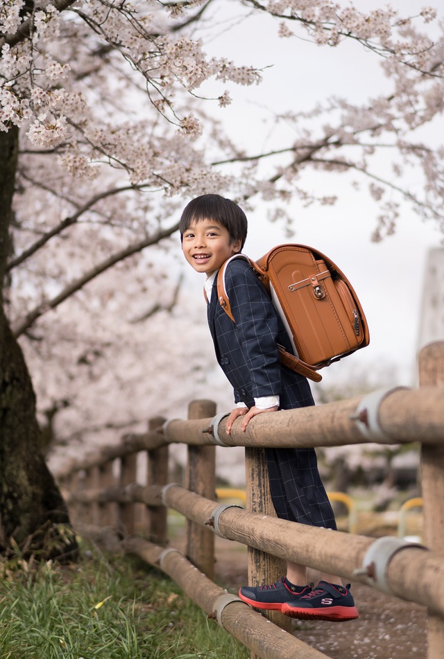 はじめての桜ロケ