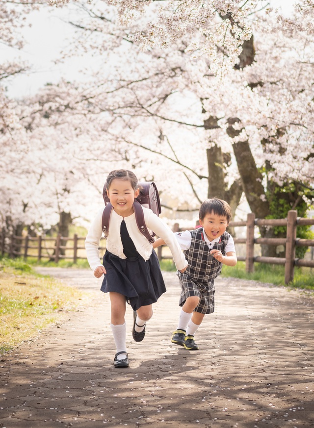 小学校入学、桜フォト