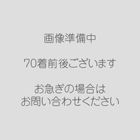 成人式 女性和装 振袖