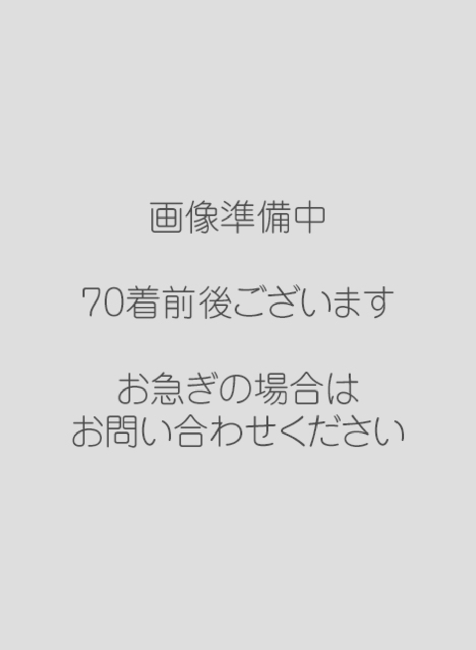 成人式 女性和装 振袖