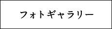 フォトギャラリー